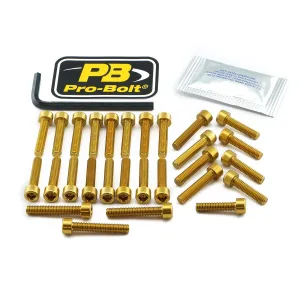 PRO BOLT - BOLT KT ENGINE SUZ GOLD - 24011435