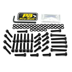 PRO BOLT - BOLT KT ENGINE YAM BLACK - 24011459