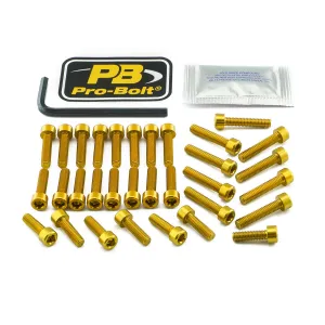 PRO BOLT - BOLT KT ENGINE YAM GOLD - 24011500