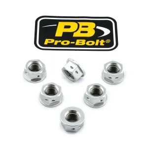 PRO BOLT - NUT SET SPROCKET 10X1.25 SLV - 24011507