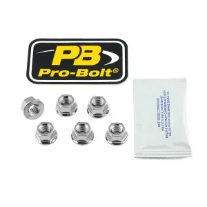 PRO BOLT - NUT SET SPROCKET 10X1.25 - 24011555