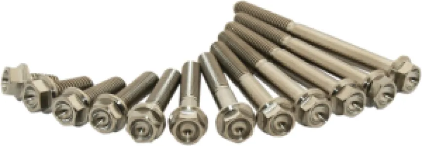 SCAR - TITANIUM BOLT M6X45 PACK OF 2 - 24040836