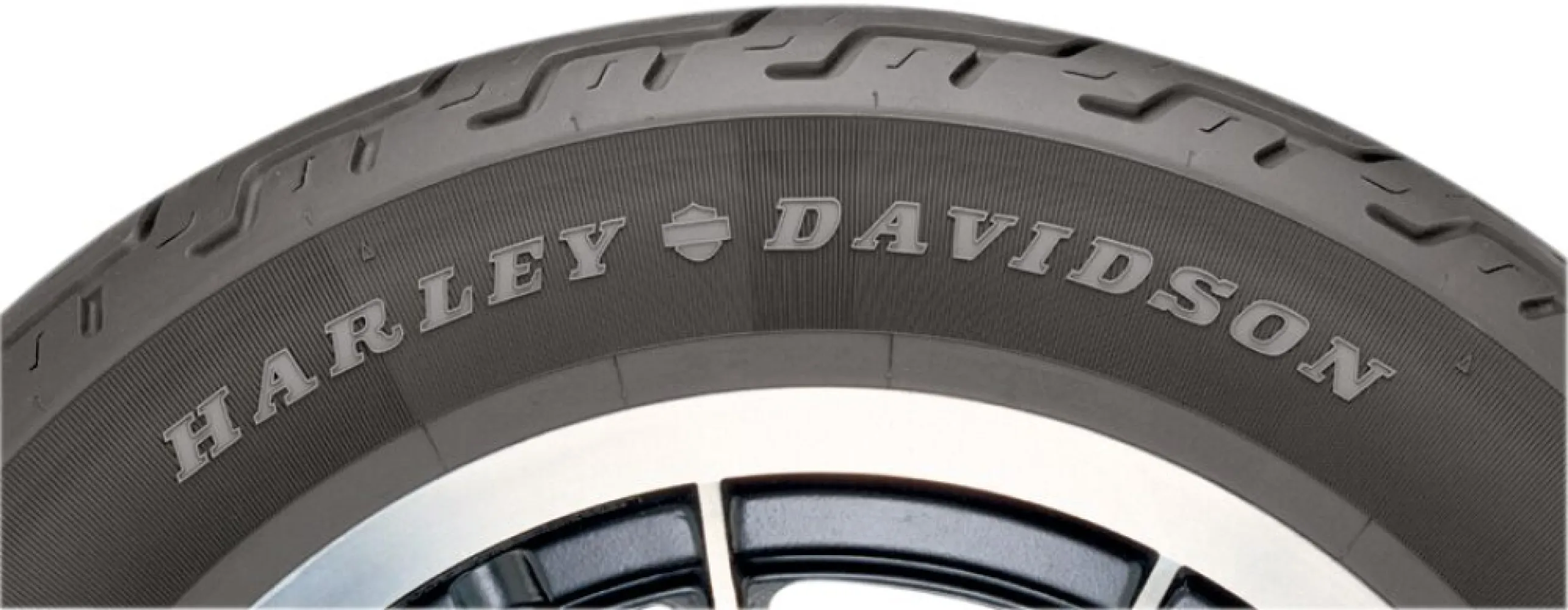 DUNLOP - K591 SP F HD 100/90-19 51V TL - 302325
