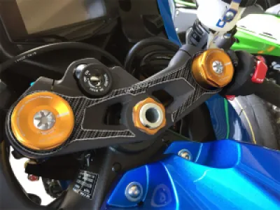 ONEDESIGN - YOKE PROTECTOR GSX-R1000 - 43010884