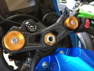 ONEDESIGN - YOKE PROTECTOR GSX-R1000 - 43010884