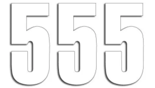 BLACKBIRD RACING - NUMBER #5 13X7CM WH - 43100733