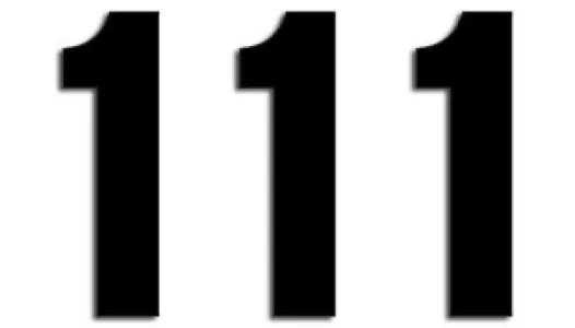 BLACKBIRD RACING - NUMBER #1 13X7CM BK - 43100739