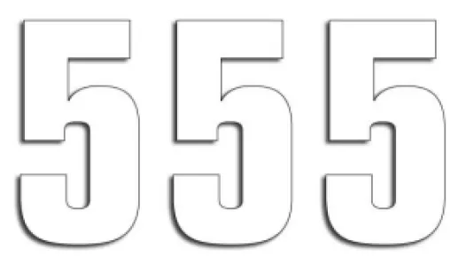BLACKBIRD RACING - NUMBER #5 16X7.5CM WH - 43100753