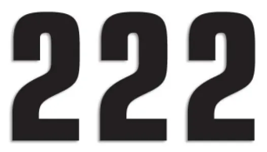 BLACKBIRD RACING - NUMBER #2 16X7.5CM BK - 43100760