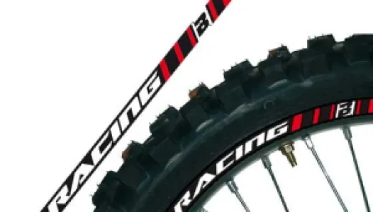 BLACKBIRD RACING - RIM DECAL RD - 43201902