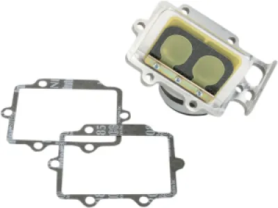 BOYESEN - RAD VALVE RM250 02 - RAD24I
