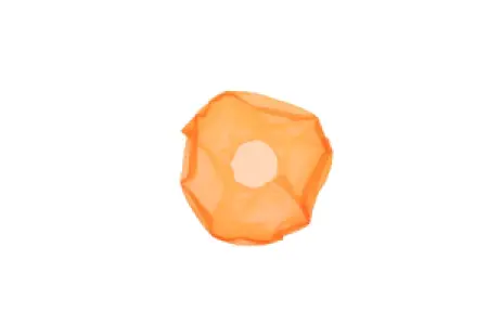 TWIN AIR - FUELFILTER YAM GRIZZ/KOD - 07070078