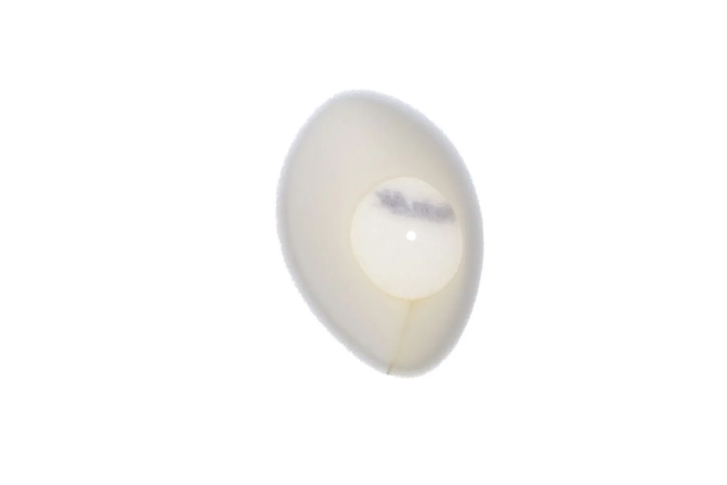TWIN AIR - FILTER DUST CVR YZ85 - 10110449