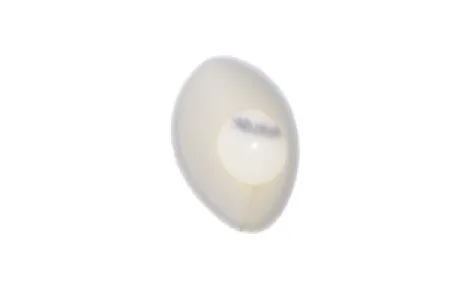 TWIN AIR - FILTER DUST CVR YZ85 - 10110449
