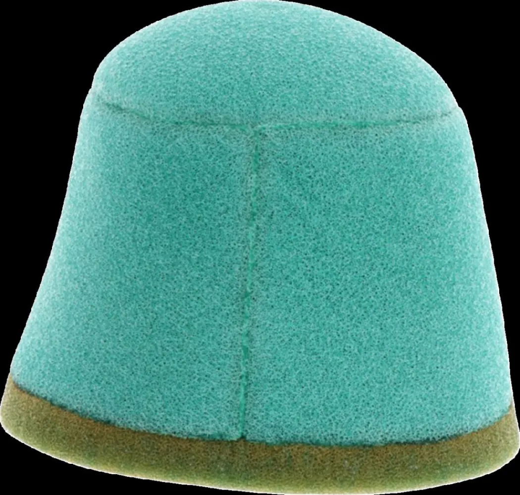 TWIN AIR - FILTER AIR PRE-OILED - 10110582