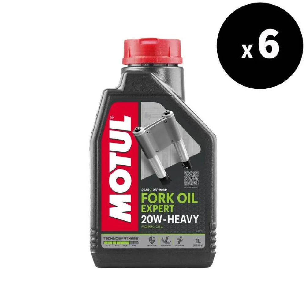 MOTUL KIT EXPERT 20W 1LX6 - 3043005