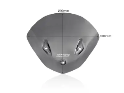 WRS - WINDSCREEN SPORT S1000R DARK S - 23120892