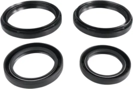 EPI - DIFFERENTIAL SEAL KIT F R - 12050369