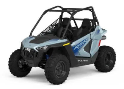 Polaris RZR200 EFI