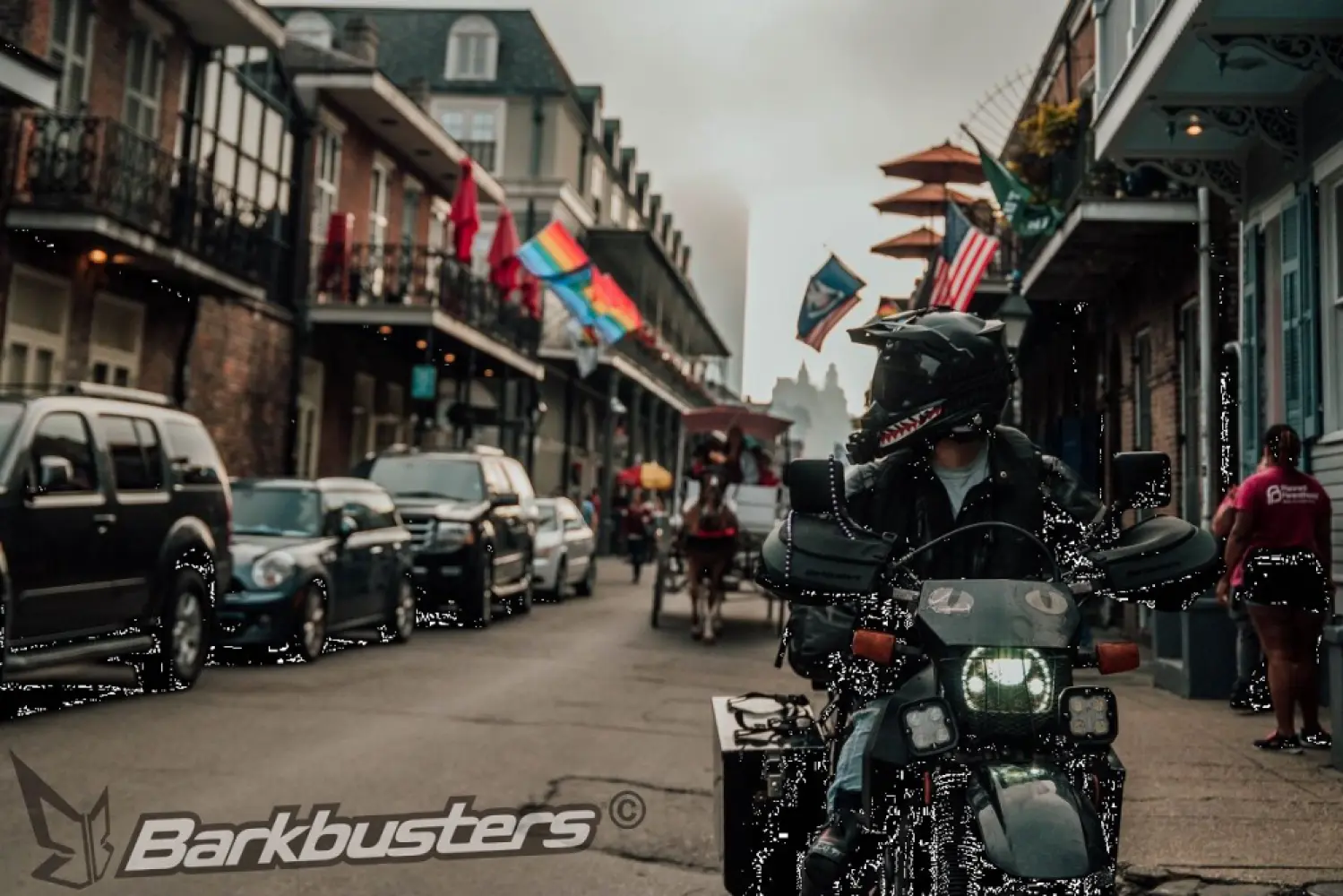 BARKBUSTERS - HANDGUARD BBZ - 06352243