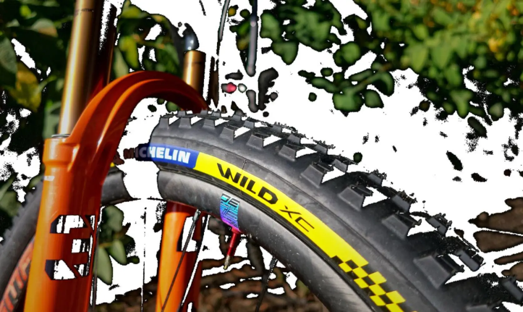 MICHELIN - WILD XC RACING 29X2.25 - 03440121