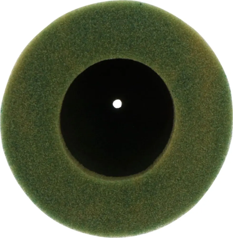 TWIN AIR - FILTER AIR PRE-OILED - 10110582