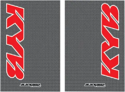 BLACKBIRD RACING - FORK STICKERS KYB CF - 43201765