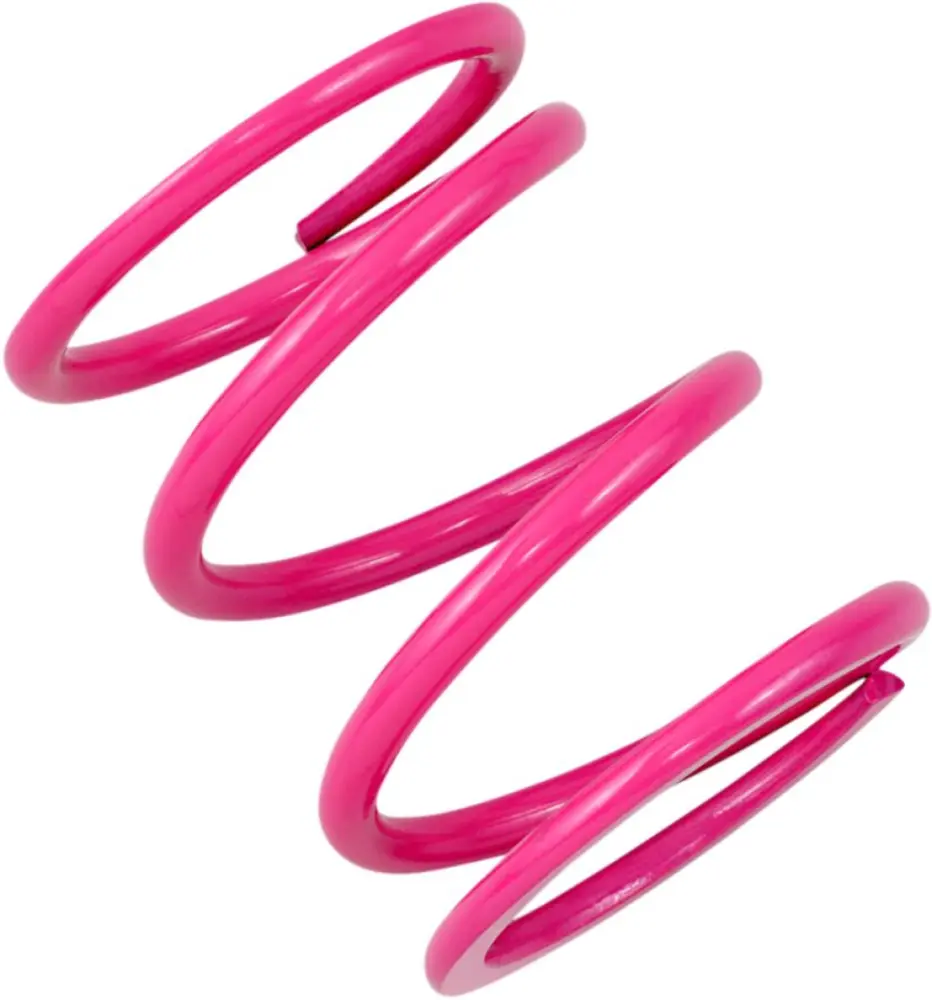 EPI - SPRING CLUTCH PRIMARY POL - 11400033