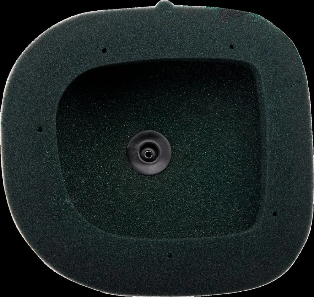 TWIN AIR - AIR FILTER PRE OILED KTM - 10112305