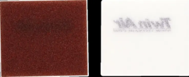 TWIN AIR - AIR FILTER CRF300L - 10114897