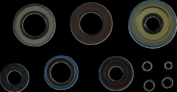 MOOSE OFFROAD HARD-PARTS - TRANSAXLE SEAL KIT POL MSE - 09351283