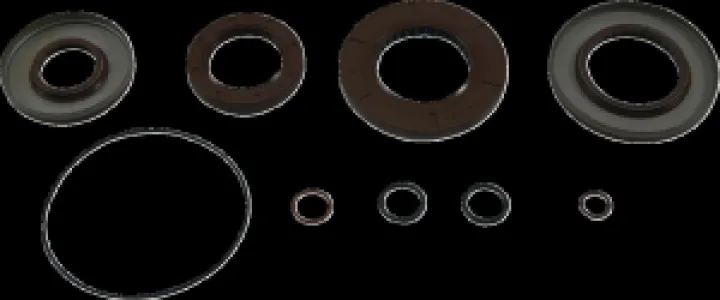 MOOSE OFFROAD HARD-PARTS - TRANSAXLE SEAL KIT POL MSE - 09351287