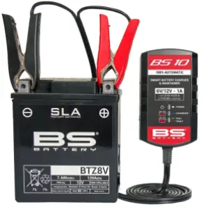 BS BATTERY - CHARGER BS10 6V/12V-1A - UK Pl - 38070696
