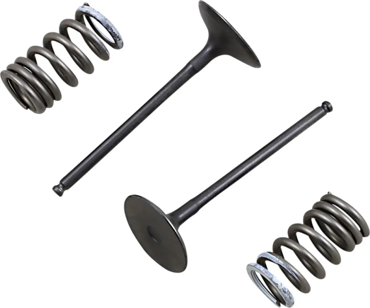 PROX - VALVE IN/SPRING KIT RM-Z250 - 09261461