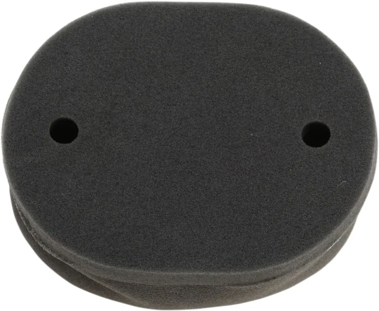 HIFLOFILTRO - AIR FILTER - 10113604