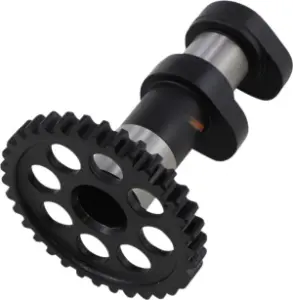 HOT CAMS - CAMSHAFT - 09251189