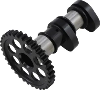 HOT CAMS - CAMSHAFT - 09251188
