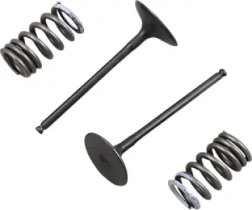 PROX - VALVE IN/SPRING KIT RM-Z250 - 09261461