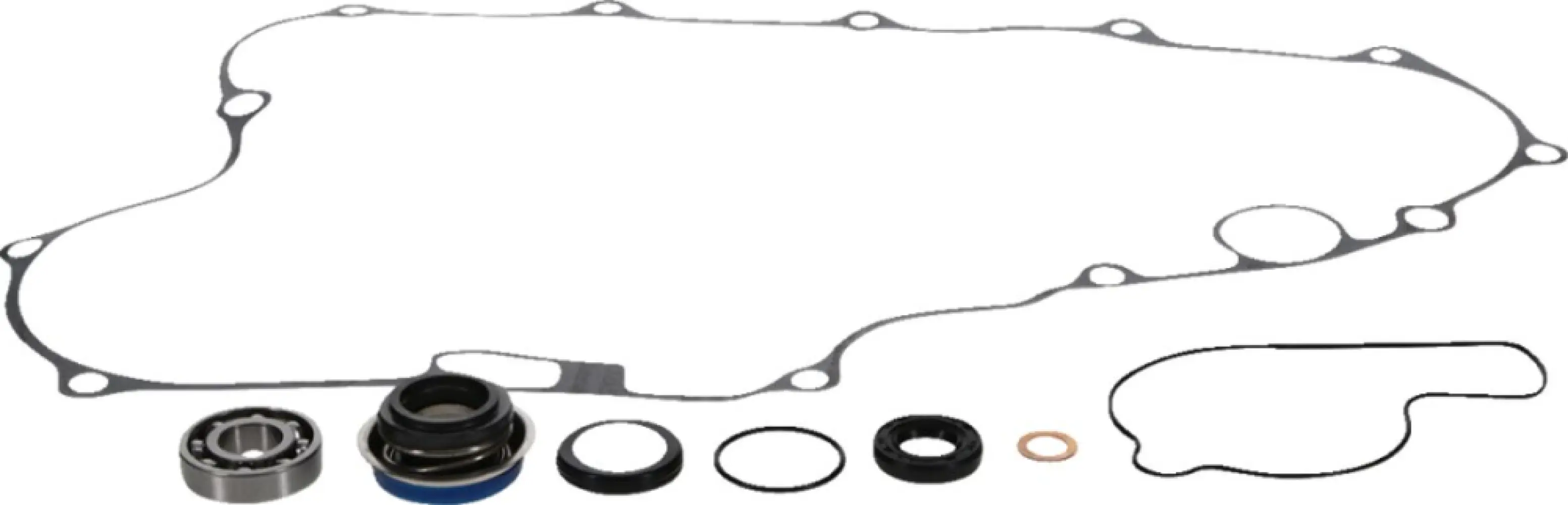 PROX - REPR KT WTRPMP PREDATOR - 09347088