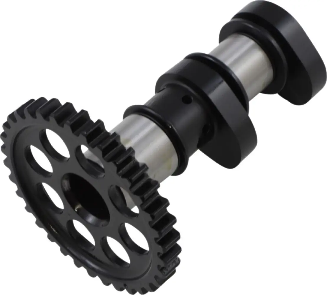 HOT CAMS - CAMSHAFT - 09251188