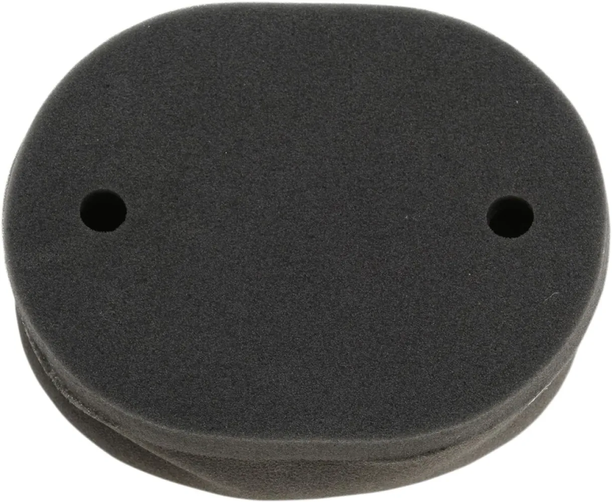 HIFLOFILTRO - AIR FILTER - 10113604