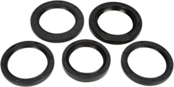 MOOSE OFFROAD HARD-PARTS - SEAL KT DIFENTIAL RR MSE - 09350476