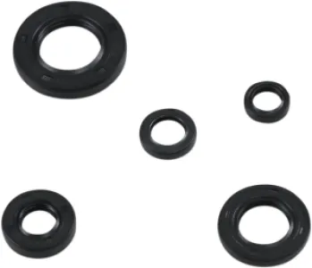 MOOSE OFFROAD HARD-PARTS - SEAL KIT ENGINE OIL HON - 09351016