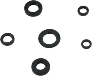 MOOSE OFFROAD HARD-PARTS - SEAL KIT ENGINE OIL HON - 09351021