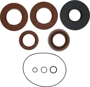 MOOSE OFFROAD HARD-PARTS - TRANSAXLE SEAL KIT POL MSE - 09351292