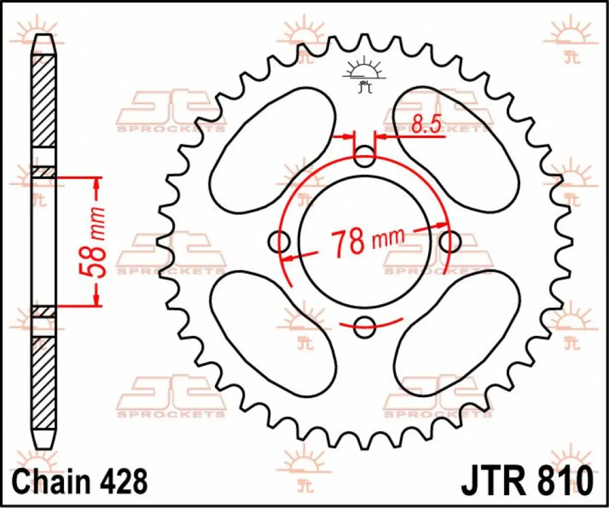 JT SPROCKETS - SPROCKET REAR 43T 428 - 12100471