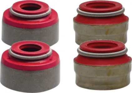 MOOSE OFFROAD HARD-PARTS - VALVE SEAL KIT 450 XC4 - 09262839