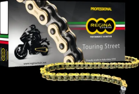 REGINA - CHAIN 530ZRT GB 120RS+RH - 12240041