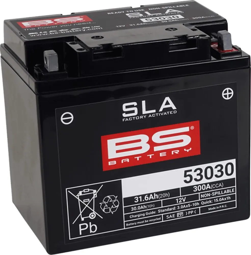 BS BATTERY - BATTERY BS 53030 SLA - 21130617