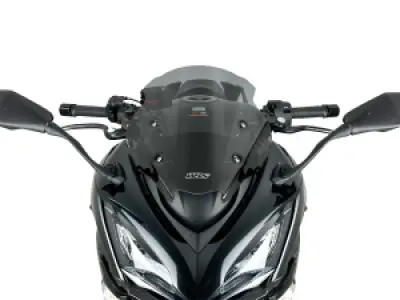 WRS - WINDSCREEN SPORT Z1000SX DARK  - 23121050